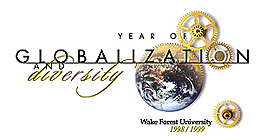 Year of Globalization & Diversity logo