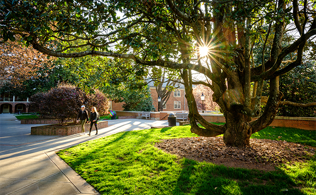 Students walking at Wake Forest University