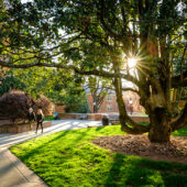 Students walking at Wake Forest University