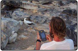 Hand-held computers in use in bird observation on the Galapagos Islands.