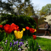 Flowers on campus