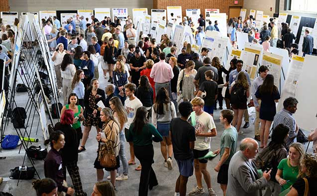 undergraduate research wake forest