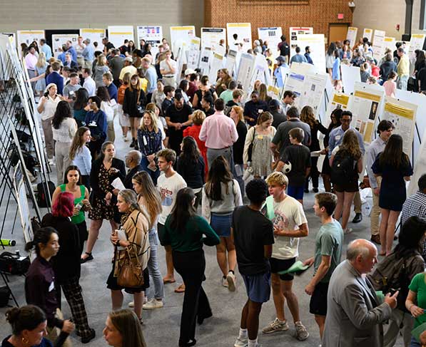 undergraduate research wake forest