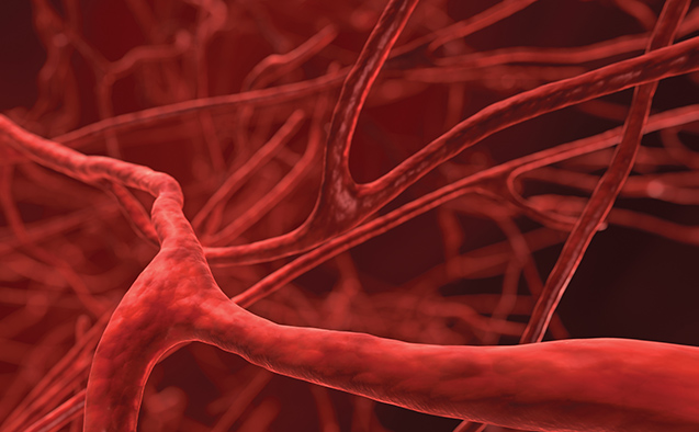 image of blood vessels