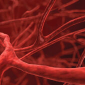 image of blood vessels