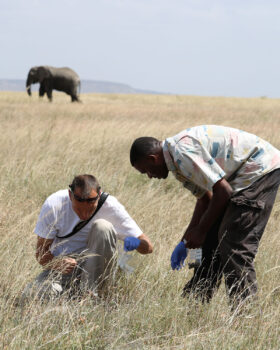Biology professor T. Michael Anderson (left) and XXX examine vegetation in the Serengeti.