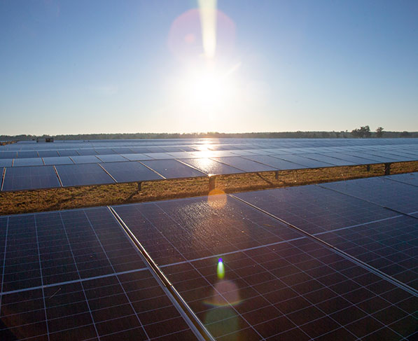 WFU partners with eight colleges and universities for large-scale solar facility