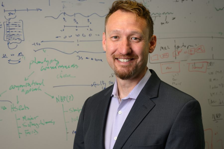 Neuroscientist named Wells Fargo Faculty Scholar