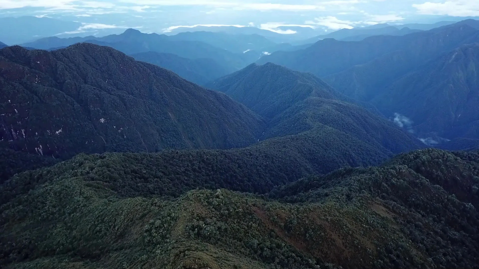Photo of the Amazon Forest