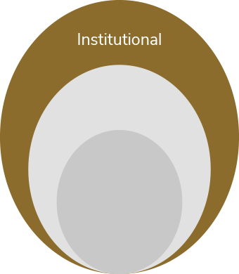 Institutional Level