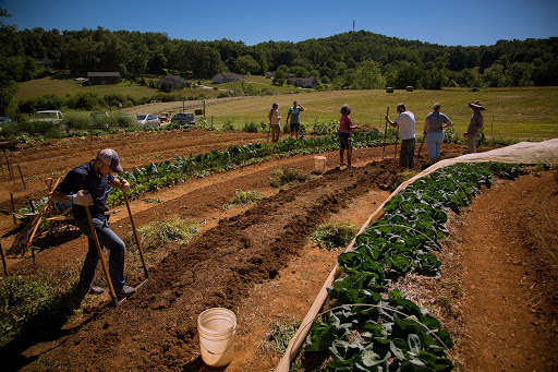 Food, Health, and Ecological Well-being Program
