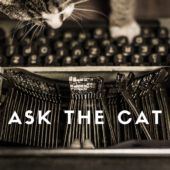 cat and typewriter