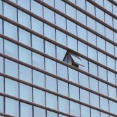 Skyscraper wall made up of many glass windows; one window in the middle is open.