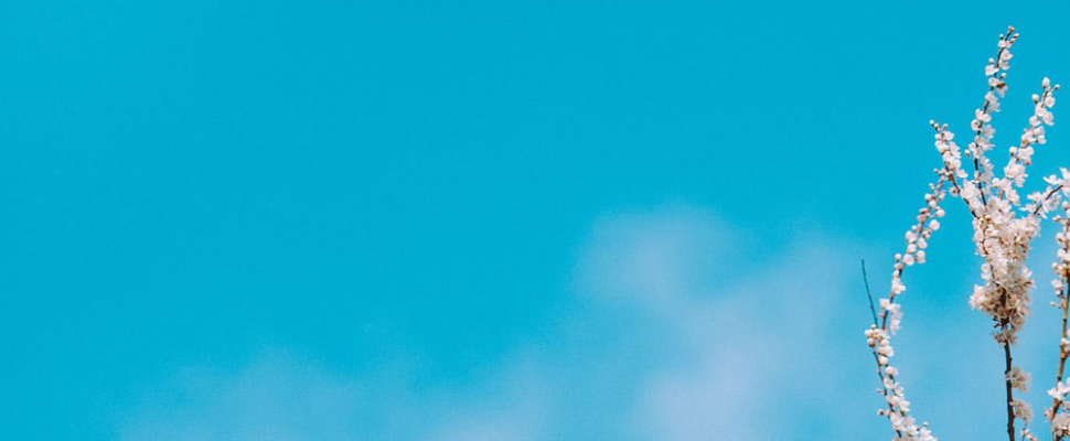 KORU Mindfulness Courses & Retreats