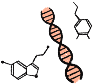 DNA illustration