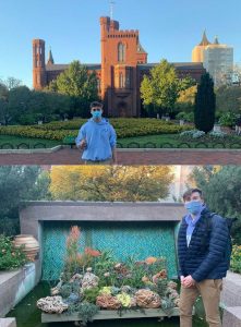 Enid Haupt Garden