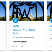 Screenshot of template options in Canvas Commons