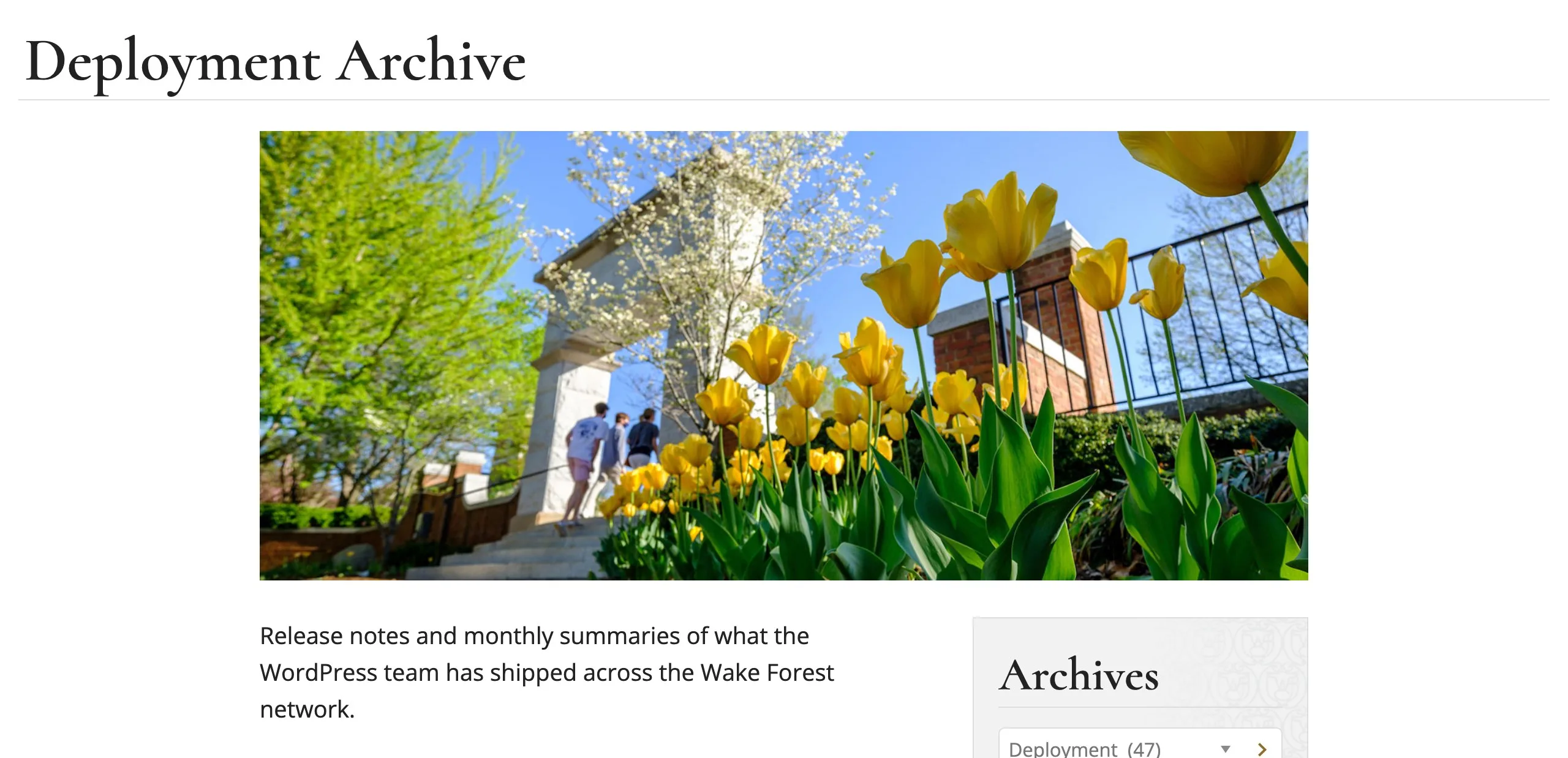 A category page with its own banner photo of yellow tulips and the category's description below it