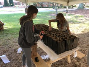 Wake Academy student volunteers pack STEM activity kits for local students