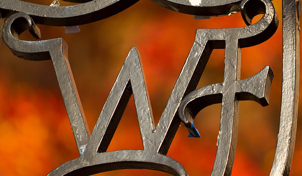 WFU Ironwork