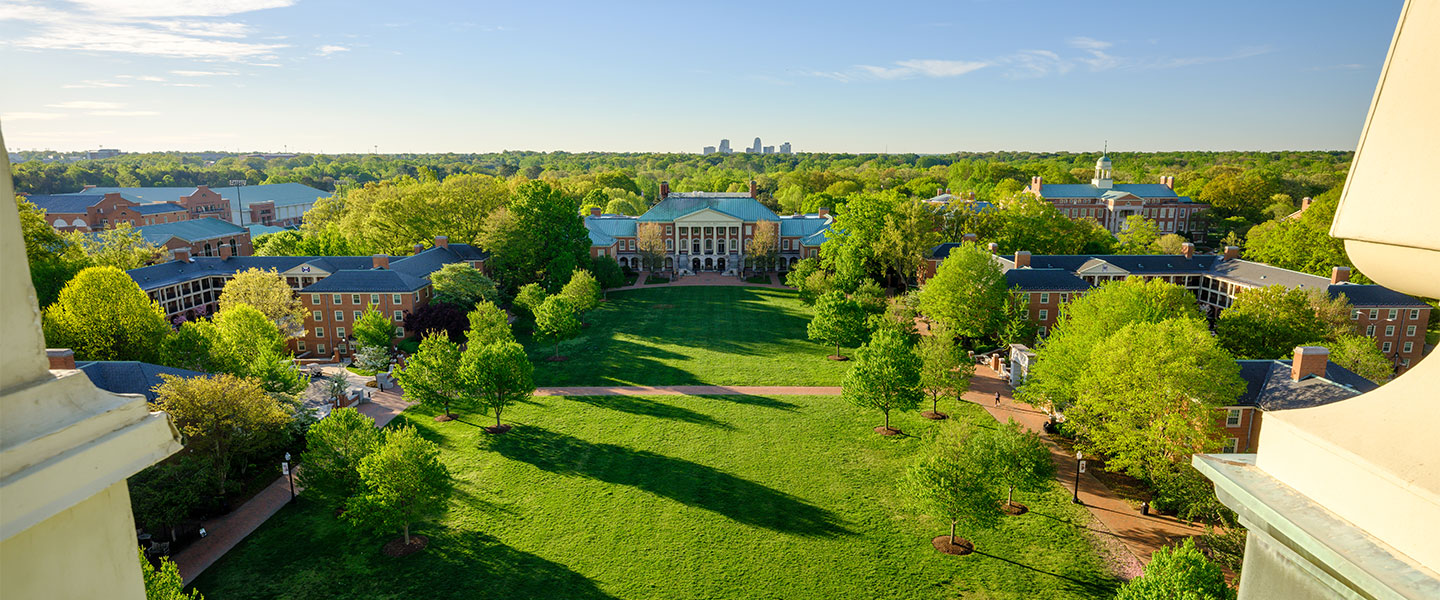 quad view