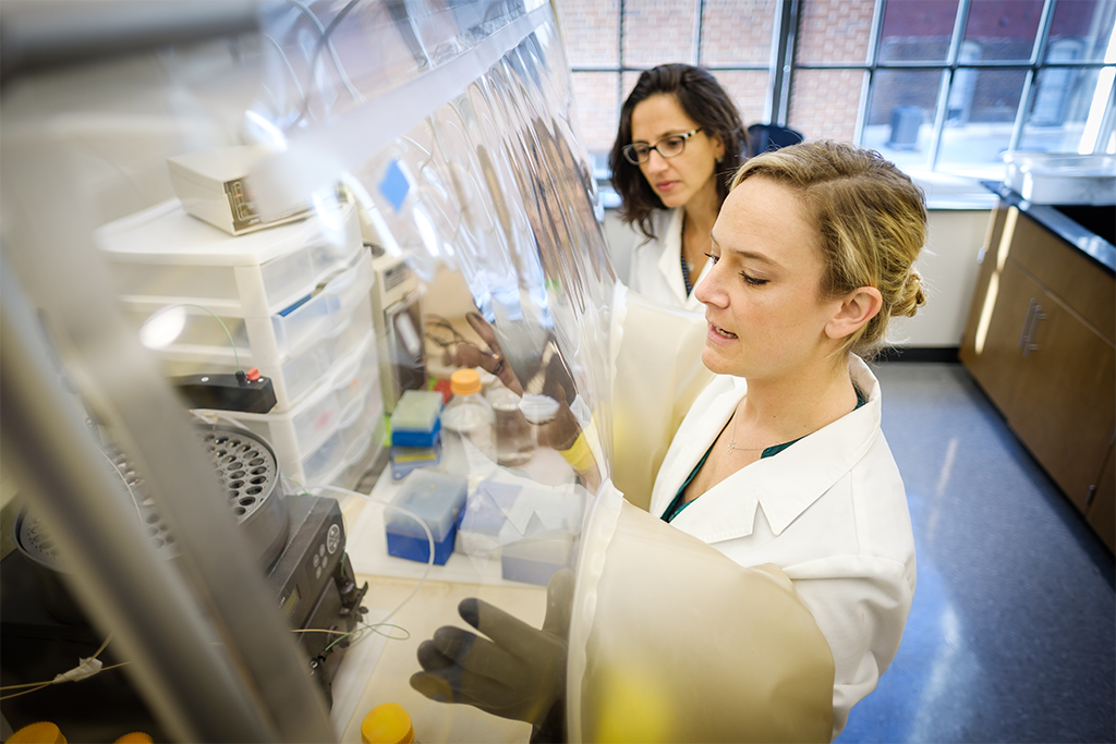 Students working in a lab