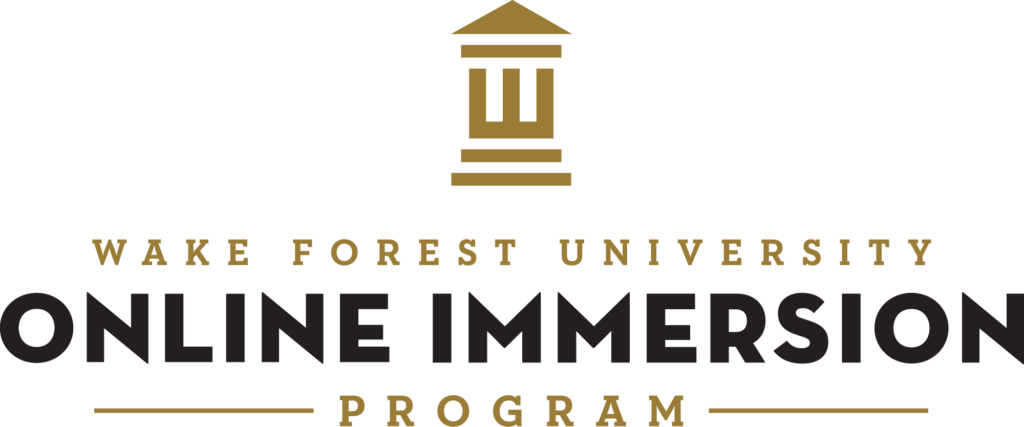 The Online Immersion Program logo