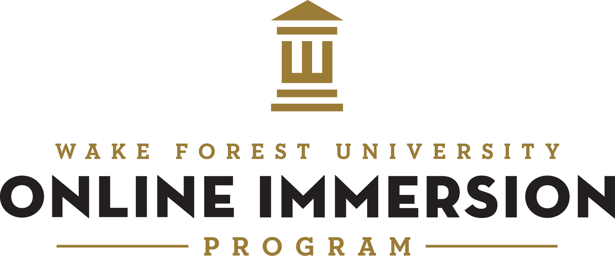 The Online Immersion Program logo