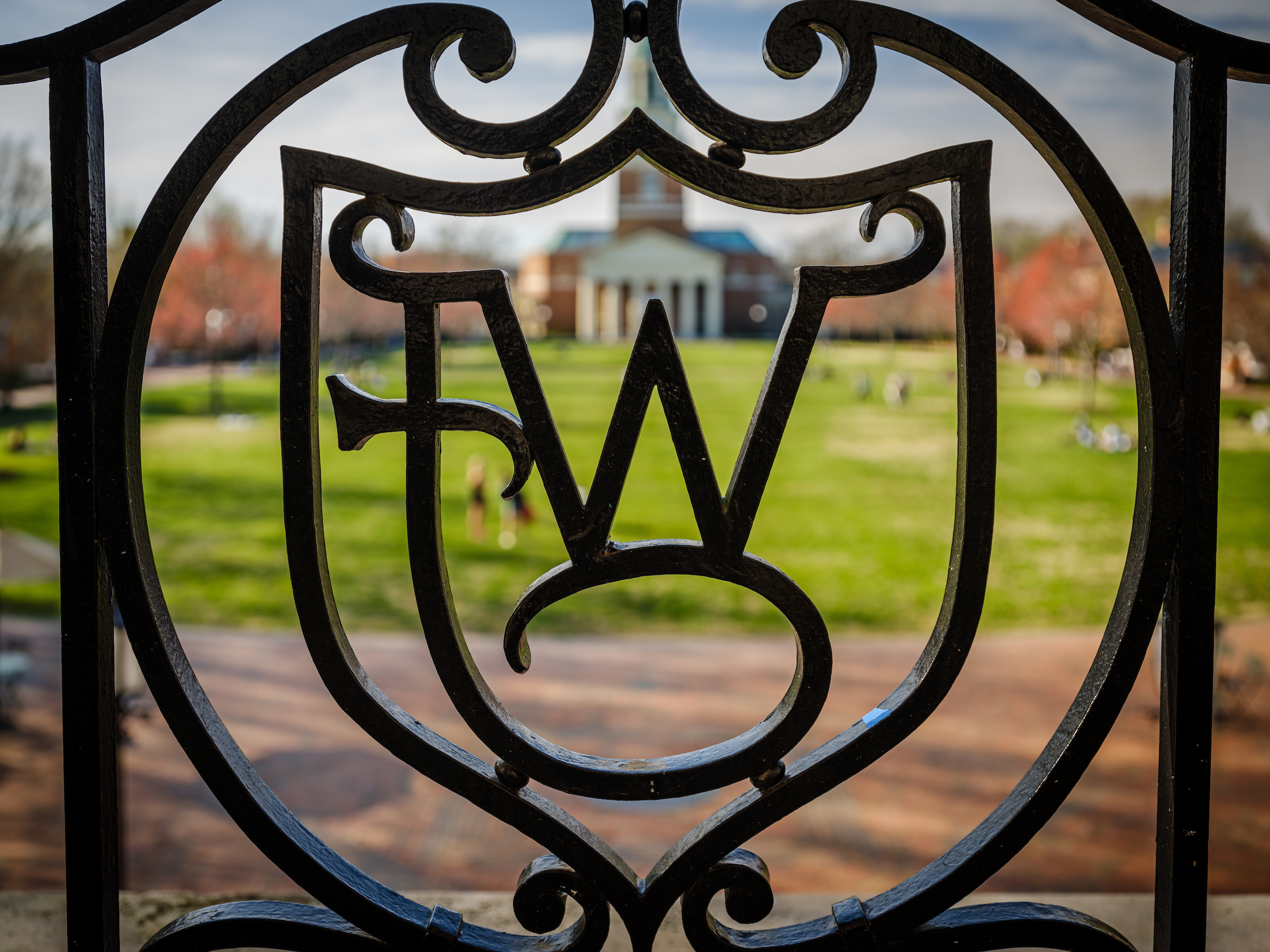 WFU Iron Logo