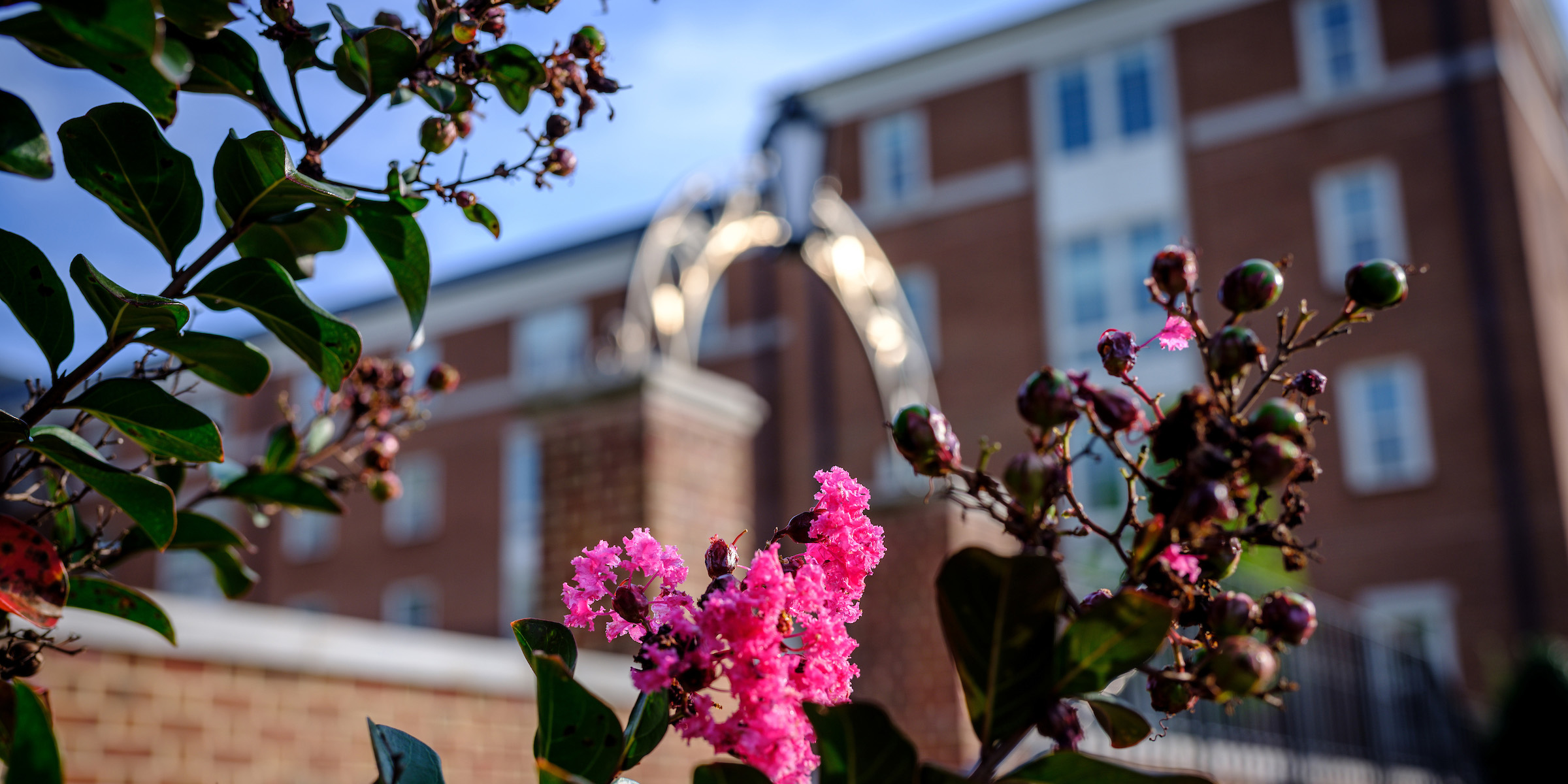 Flowers bloom outside Magnolia Residence Hall