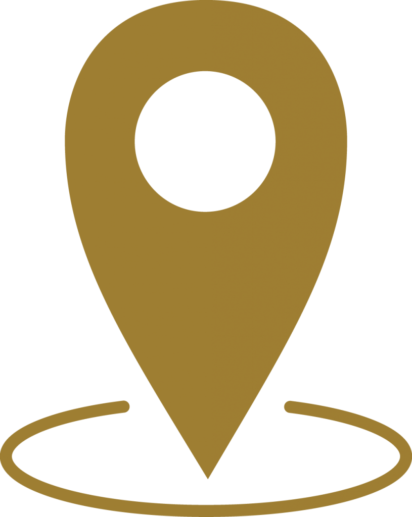 location icon