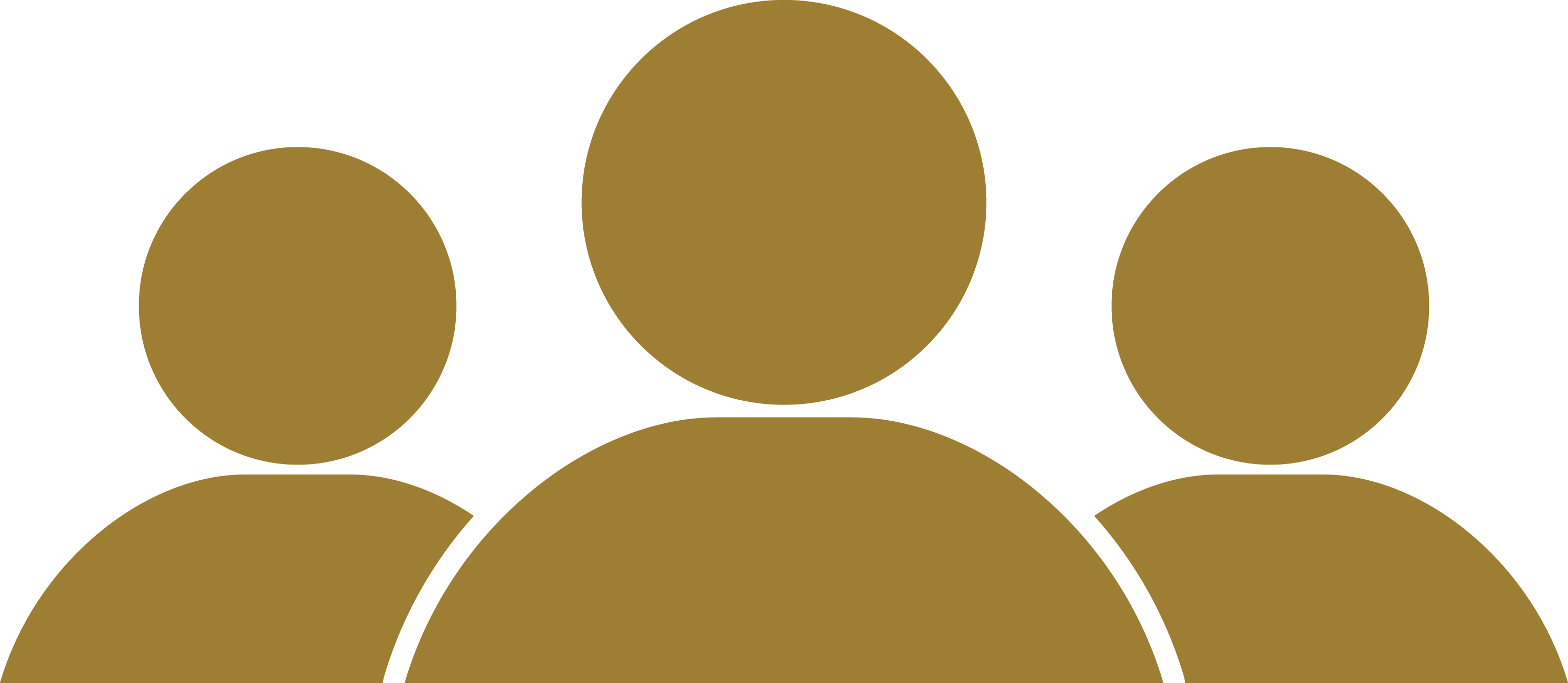 People icon