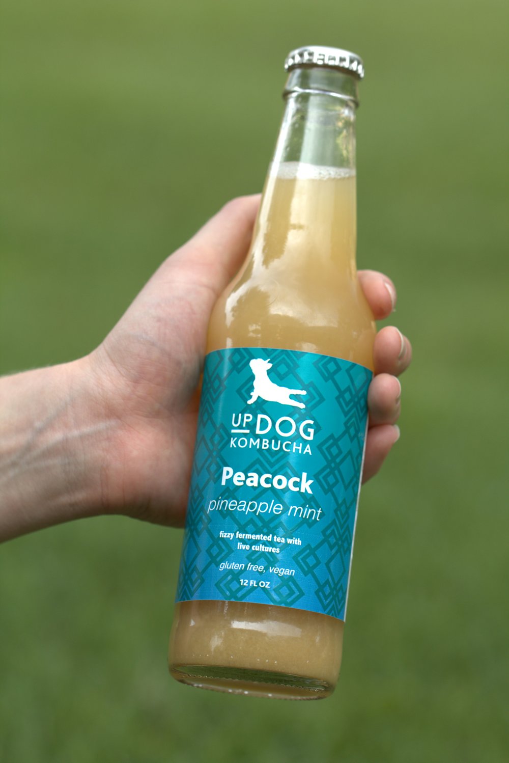 Updog Kombucha featured in Bevnet – how brands are building on campus