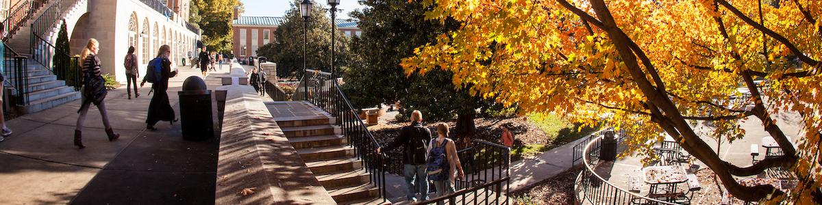 20121016fall3729