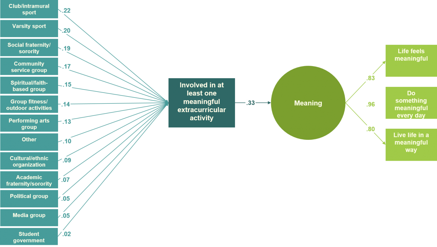 activity-engagement-and-meaning-importance-of-meaningful-activities