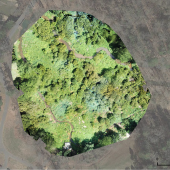 An orthomosaic of Lake Katharine collected from a drone