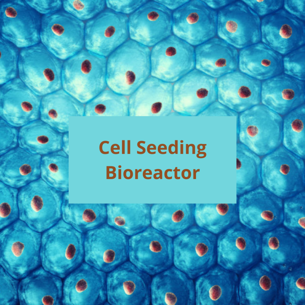 Cell Seeding Bioreactor