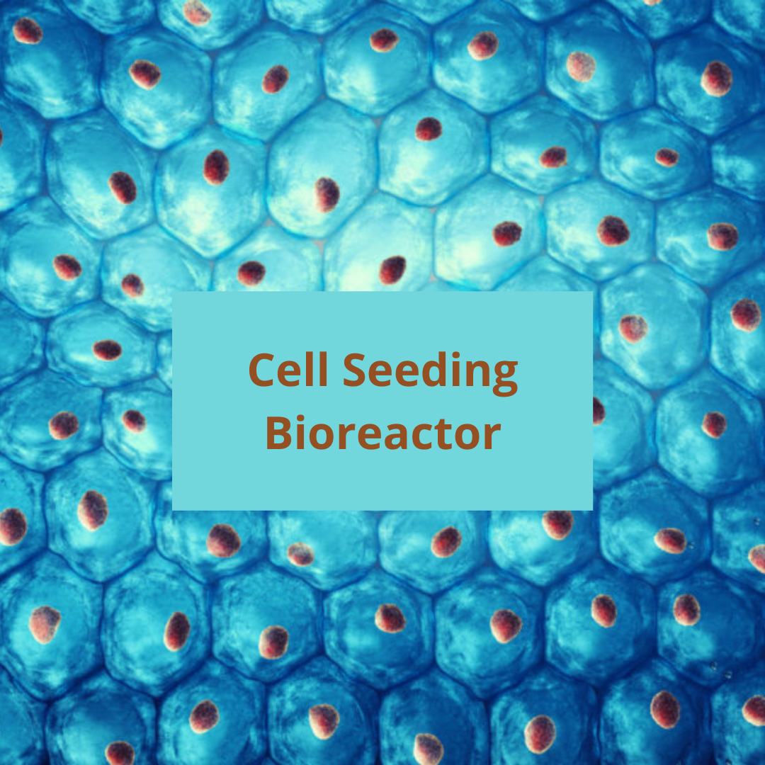 Cell Seeding Bioreactor