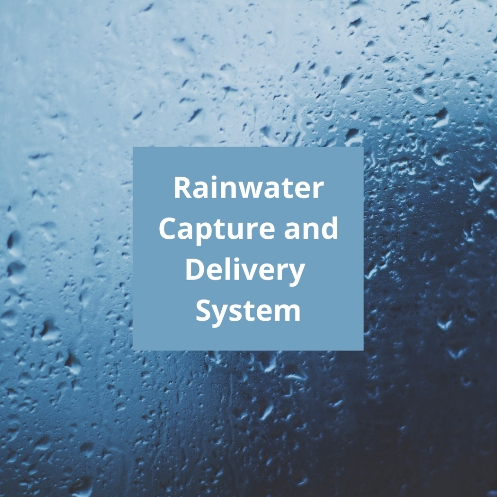 rainwater capture and delivery system