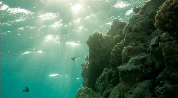 under the ocean