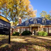 starling fall in autumn