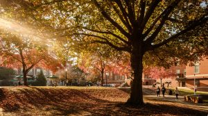 autumn on Wake Forest's campus