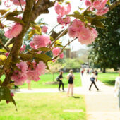 campus in springtime