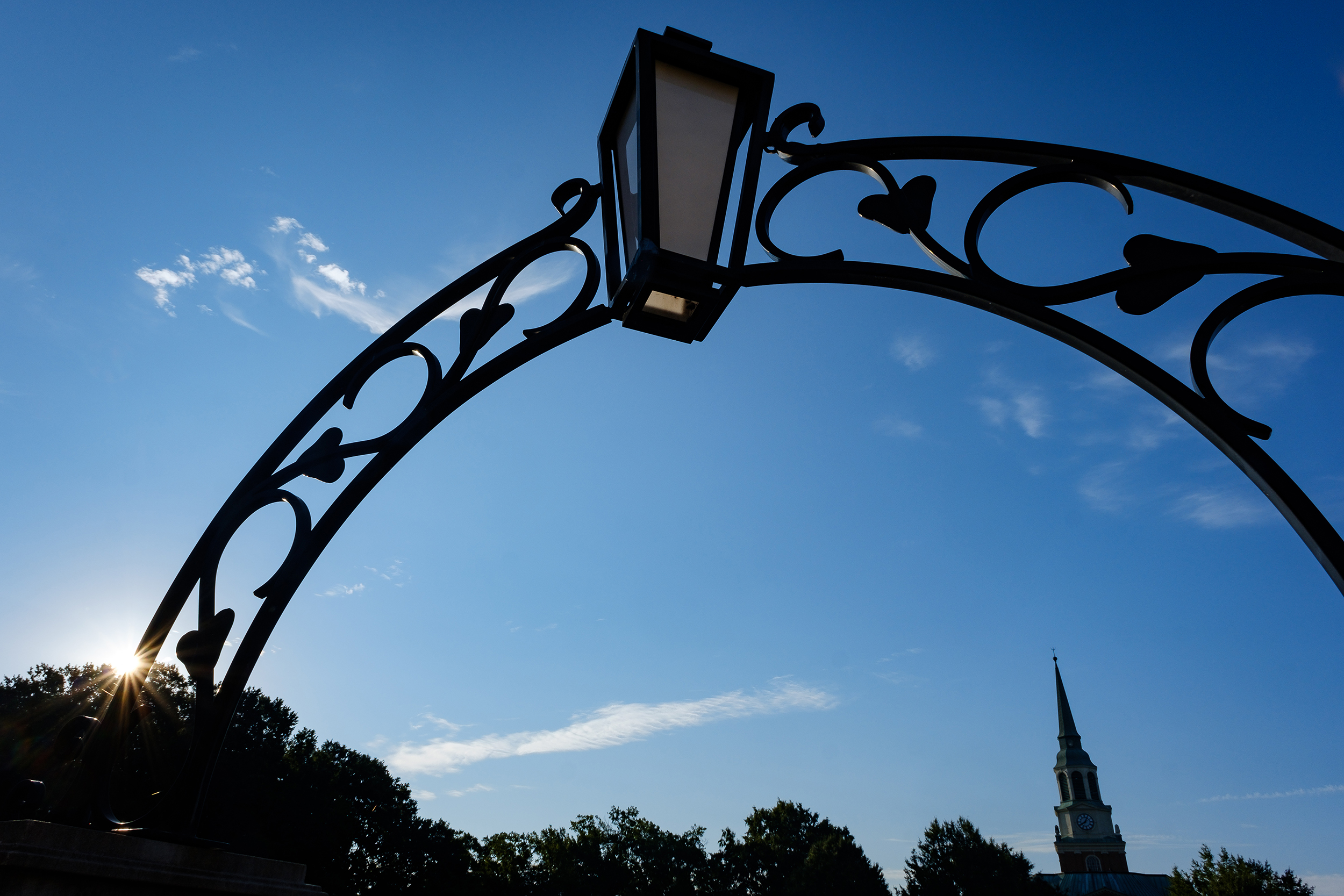 WFU Campus