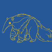 illustration of an anteater on a blue background