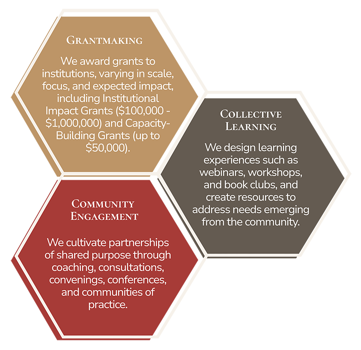 Grantmaking: We award grants to institutions, varying in scale, focus, and expected impact, including Institutional Impact Grants ($100,000 - $1,000,000) and Capacity-Building Grants (up to $50,000).
Collective Learning: We design learning experiences such as webinars, workshops, and book clubs, and create resources to address needs emerging from the community.
Community Engagement: We cultivate partnerships of shared purpose through coaching, consultations, convenings, conferences, and communities of practice.