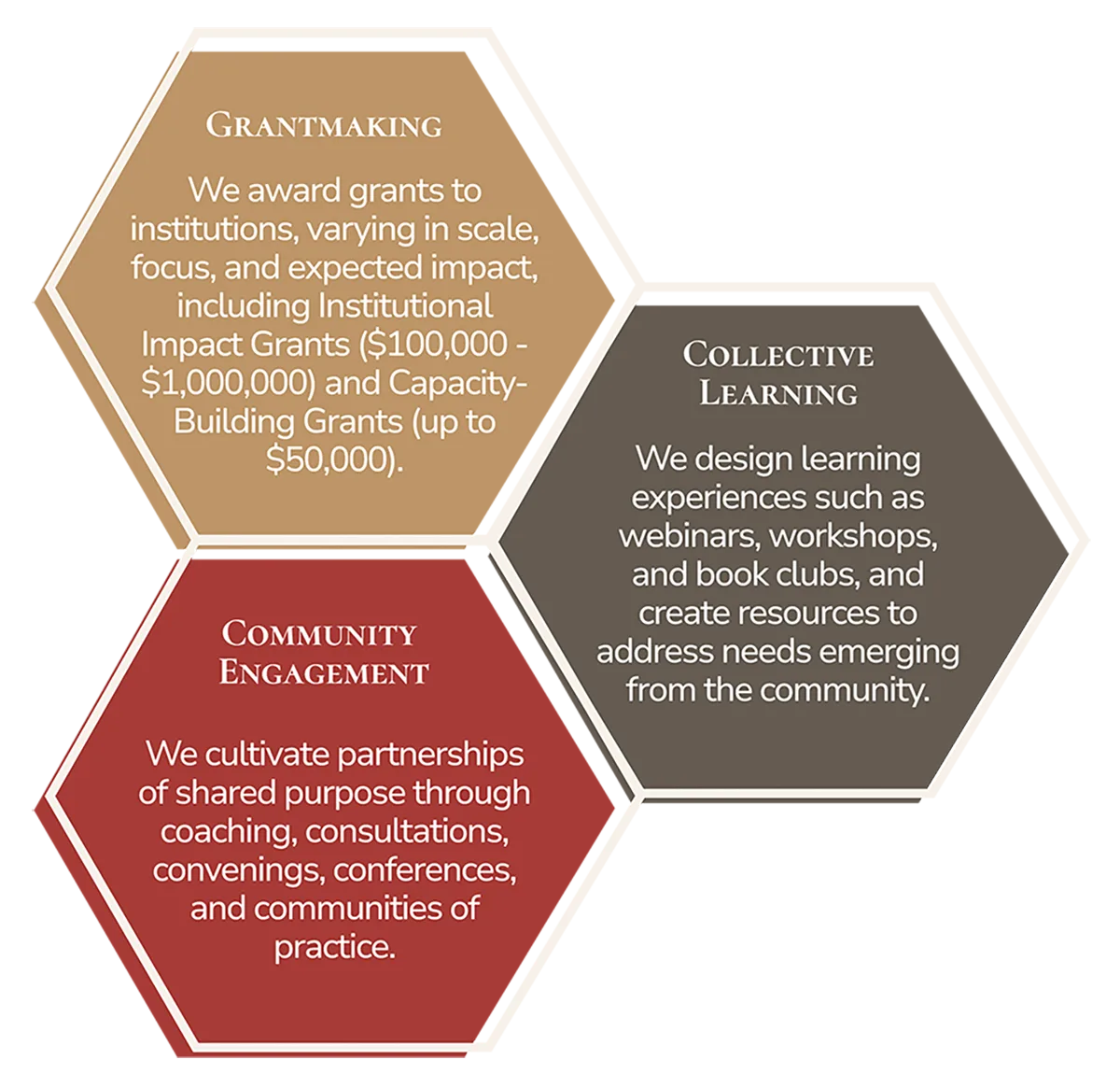 Grantmaking: We award grants to institutions, varying in scale, focus, and expected impact, including Institutional Impact Grants ($100,000 - $1,000,000) and Capacity-Building Grants (up to $50,000).
Collective Learning: We design learning experiences such as webinars, workshops, and book clubs, and create resources to address needs emerging from the community.
Community Engagement: We cultivate partnerships of shared purpose through coaching, consultations, convenings, conferences, and communities of practice.