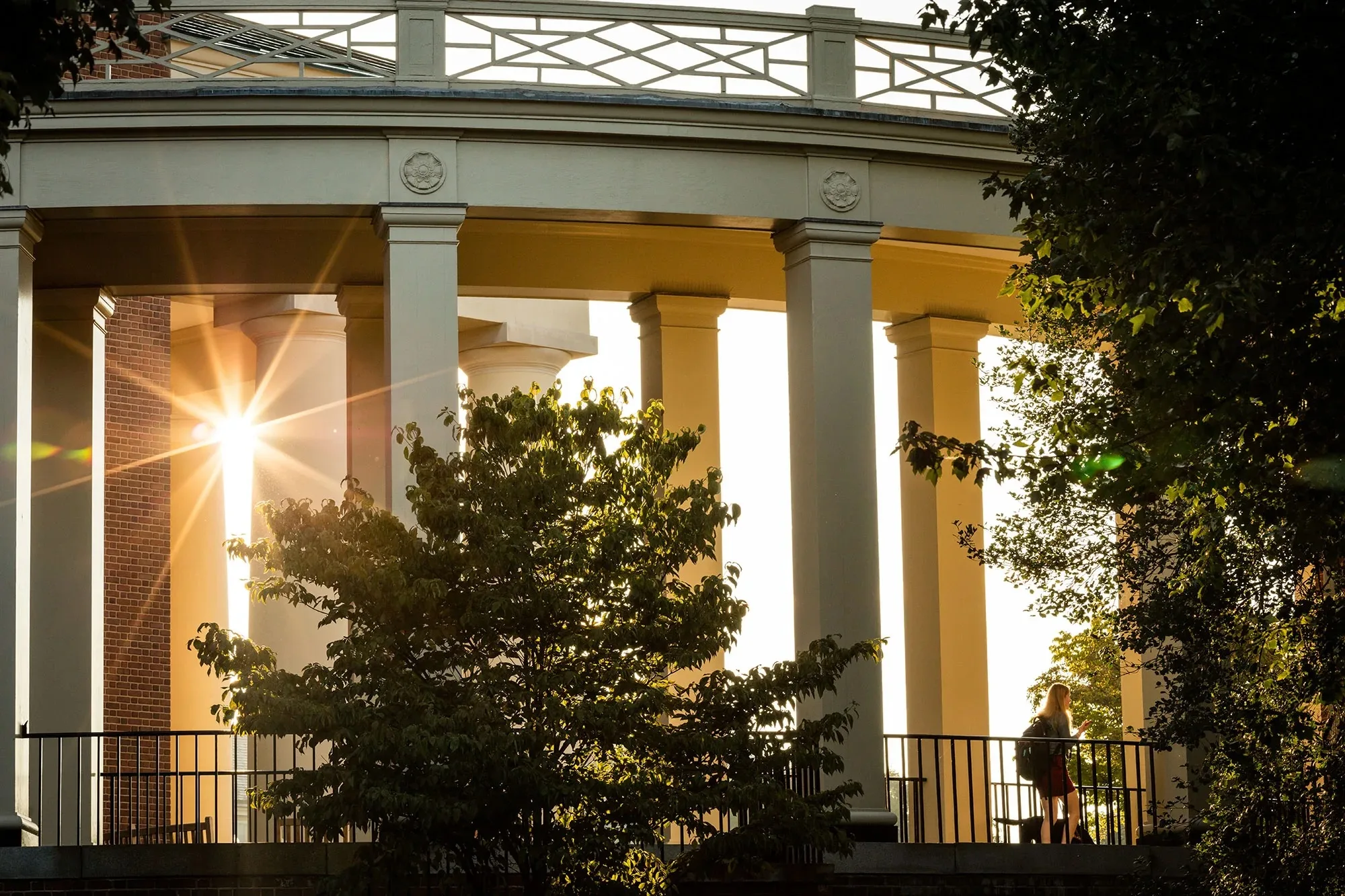 Wake Forest University's campus.