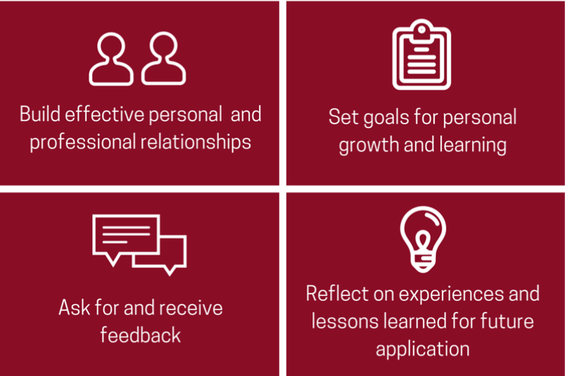 Mentee Learning Outcomes: Build effective personal and professional relationships, Set goals for personal growth and learning, Ask for and receive feedback, Reflect on experience and lessons learned for future application