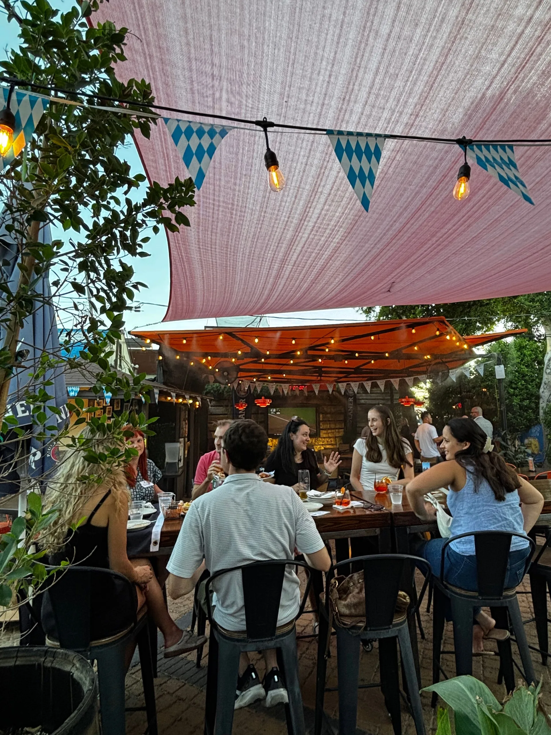 A group of Wake Forest young alumni sit at a long table outdoors underneath a canopy with string lights. The group has food and drinks in front of them and are in the middle of talking with one another.